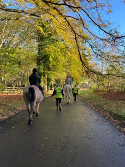 Let us bring to the spotlight Fairlight RDA